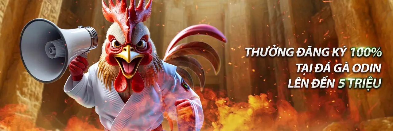 Đá Gà Trực Tuyến Thomo