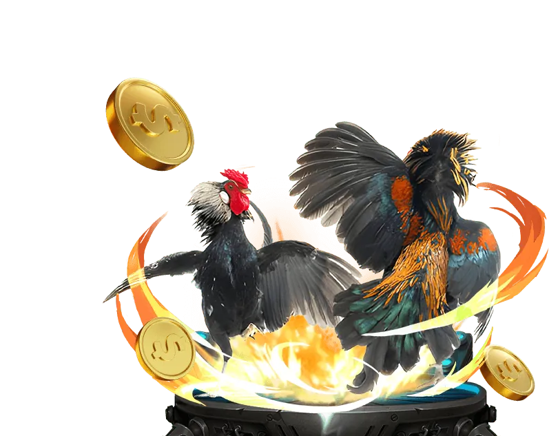 Giao diện xem trực tiếp đá gà Thomo